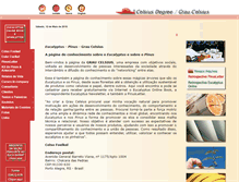 Tablet Screenshot of celso-foelkel.com.br